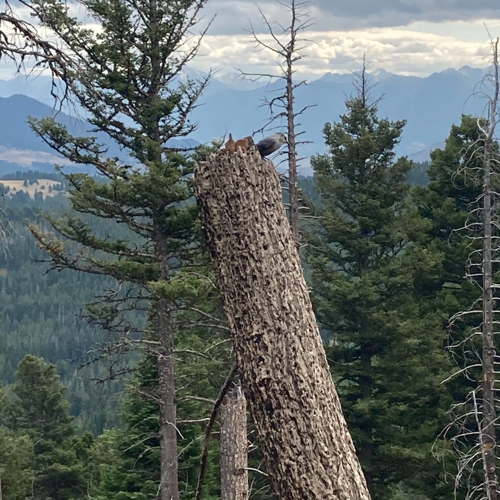 Meet your Posher, Paige